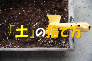 【土の捨て方】植木鉢の土の処分方法は？何ゴミ？回収してもらう？徹底解説