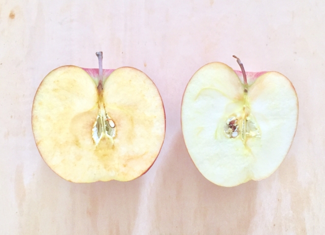 りんごを塩水につけた後 しょっぱい 水で洗い流しても変色の効果は変わらない