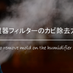 【加湿器タンクのカビ掃除方法】中まで手が届かない!おすすめカビ取り方法を紹介!