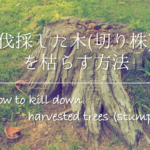 【土の捨て方】植木鉢の土の処分方法は？何ゴミ？回収してもらう？徹底解説