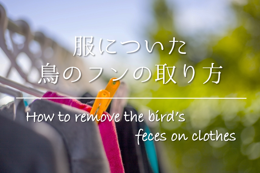 【服についた鳥のフンの取り方】簡単!!応急処置から洗濯方法まで徹底解説！