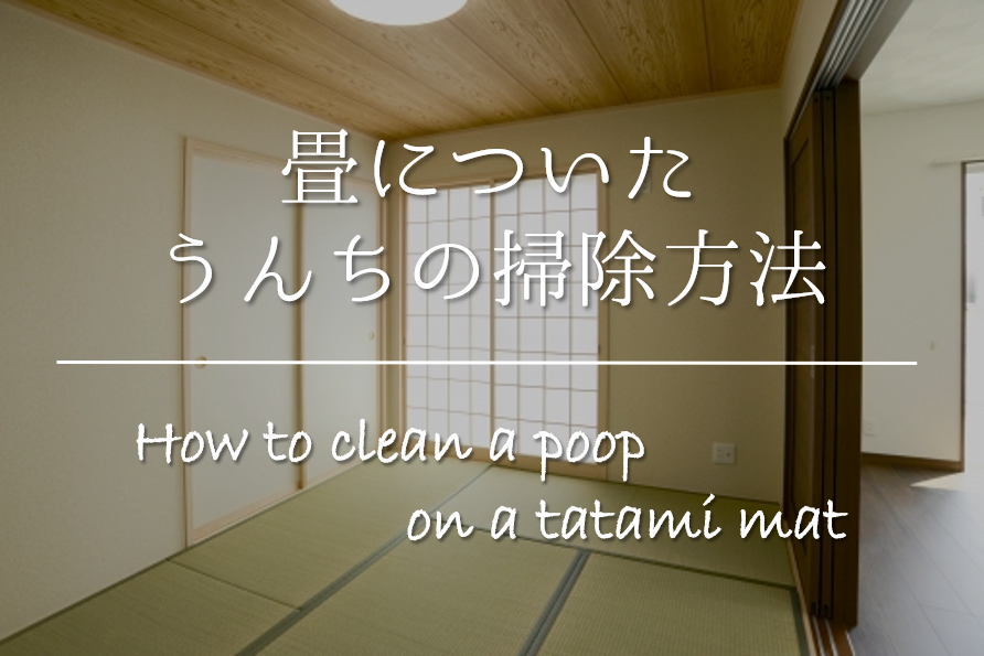 畳についたうんちの掃除方法 簡単 頑固な汚れの落とし方