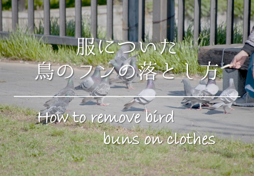 服についた鳥のフンの取り方 超簡単 おすすめの染み抜き方法 服についた鳥のフンの取り方 超簡単 おすすめの染み抜き方法