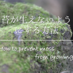 【土の捨て方】植木鉢の土の処分方法は？何ゴミ？回収してもらう？徹底解説