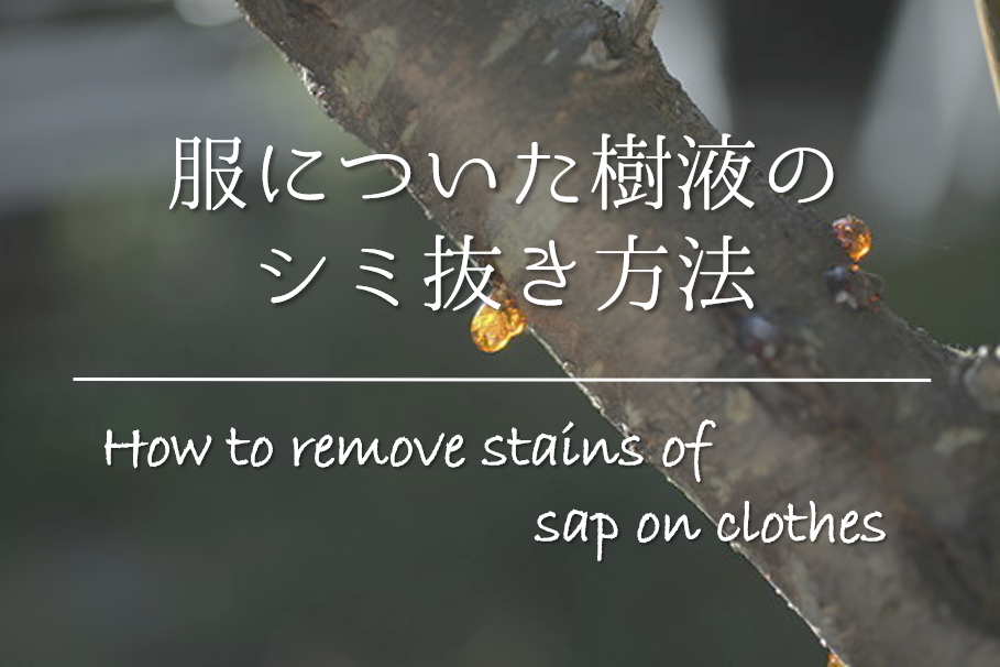 【服についた樹液のシミ抜き方法】簡単‼おすすめの落とし方を紹介!