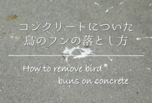 【コンクリートについた鳥のフンの落とし方】簡単&安全！おすすめの掃除方法を紹介