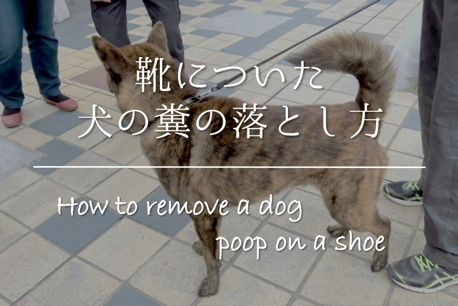 靴についた犬の糞の落とし方 簡単 正しい洗い方 臭い