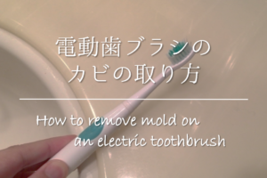 【電動歯ブラシのカビの取り方】簡単!!効果的なお手入れ方法やカビ対策を紹介