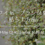 【土の捨て方】植木鉢の土の処分方法は？何ゴミ？回収してもらう？徹底解説