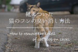 【靴についた猫の糞(フン)の臭い消し方法】簡単!!キレイに取る方法を紹介！