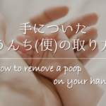 【トイレブラシの洗い方】ケースも一緒に掃除!掃除後も清潔に保つ方法